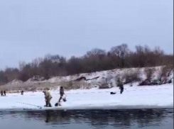 В опасную ловушку массово попали рыбаки под Воронежем – опубликовано видео 