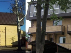 Сергей Куприн защитил владельцев элитных квартир в незаконно построенных коттеджах и рекомендовал мэрии прекратить их преследование