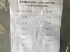 «По расписанию каменного века»: допотопные автобусы отрезали жителей микрорайона от Воронежа