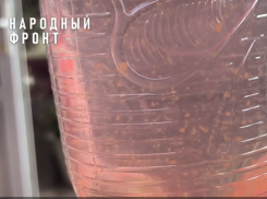 Железная опасность угрожает жителям Воронежской области