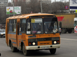 Воронежцы опубликовали петицию за новый общественный транспорт