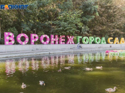 В два раза урезали бюджет гордеевскому «Городу-саду» в Воронеже