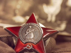 В мэрии рассказали, что ждет воронежцев на 9 Мая