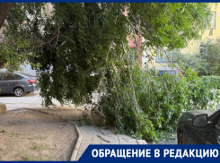 Всем по барабану: ГЖИ и ТСЖ решили рискнуть здоровьем жителей Воронежа