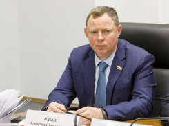 Более 30 миллионов рублей за год «заработал» несовершеннолетний ребенок депутата Воронежской областной думы