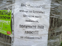Любителям мусорить пригрозили наказанием «под хвост» в Воронеже