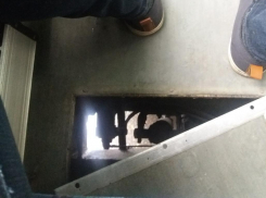 Аргумент против повышения проезда наглядно показали на фото в Воронеже