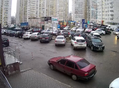 Стая бездомных собак набросилась на ребенка в воронежском ЖК – опубликовано видео 