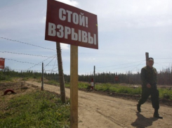 В Воронежской области пенсионер устроил дома склад боеприпасов