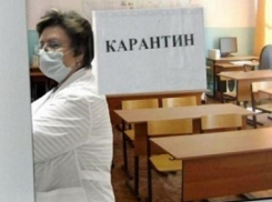 Воронежских школьников обяжут приносить на учебу справки по гриппу