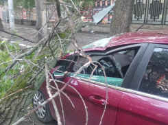 Дерево расплющило иномарку после грозы в центре Воронежа