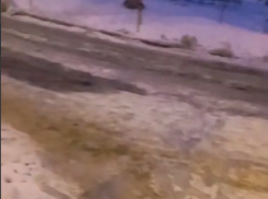 Коммунальная импотенция заставила воронежцев брать все в свои руки 