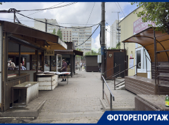 Последние дни Птичьего рынка показали на фото в Воронеже