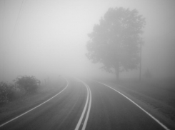 Синоптики рассказали, сколько в Воронеже продержится опасный туман