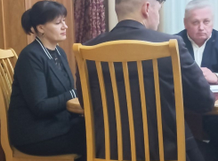 В Ленинский ТИК Воронежа назначили главу, у которой нет опыта работы в избирательной системе