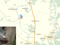 В Воронежской области автомобиль влетел в дерево и загорелся (ФОТО)