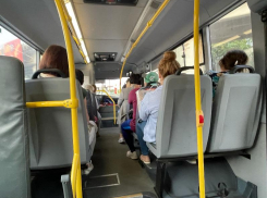 Водитель воронежской маршрутки сообщил о массовой невыплате зарплат 