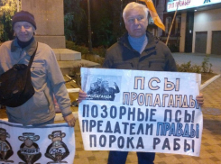 Воронежские либералы по итогам выборов в Госдуму вышли на пикет на Никитинской площади