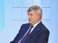 Три депутата решили отменить выборы мэра Воронежа