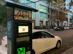 Почему платные парковки неэффективны, объяснил вице-мэр в Воронеже