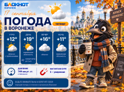 Ясно и без осадков: почти июльская погода придет в Воронеж