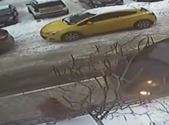 Момент жесткого ДТП со сбитой пенсионеркой показали в Воронеже