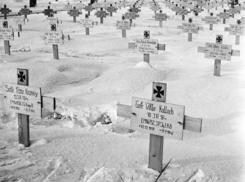 Воронежцев ужаснули фото немецкого кладбища на месте Кольцовского сквера