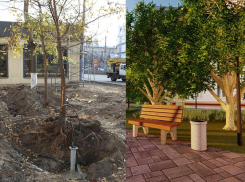 Можно ли благоустроить сквер в Воронеже, не повредив большинство деревьев