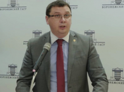 Ректор опорного университета рассказал о пожаре в своем загородном доме 