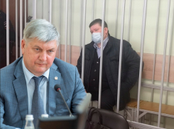 «Глупость какая-то»: губернатор Гусев не поверил в распродажу мандатов Воронежской гордумы