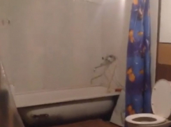 Тайную квартиру нашли в подвале жильцы воронежской многоэтажки