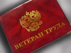 В Воронежской области соцзащита отказалась присваивать пенсионерке звание «Ветерана труда»