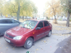 В смердящую груду металла превратили машину приезжего в Воронеже
