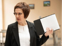 Новый воронежский министр экономразвития получила высокое учёное звание   