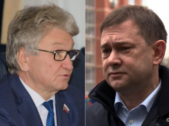 Пиар Ходырева и Нетёсова достанет воронежцев даже на улицах города