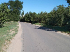 Об опасном участке дороги предупредили жителей Воронежской области