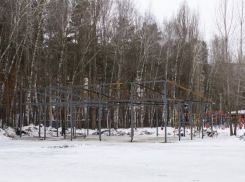 Пункт проката спортинвентаря начали создавать в обновляемом парке «Танаис» в Воронеже