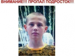 В Воронеже 13-летний подросток ушел из дома вместе с таксой