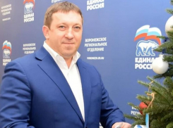 Главный единоросс Воронежской гордумы отмечает свой 44-й день рождения