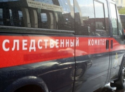 В Воронежской области будут судить водителя, по вине которого погиб человек