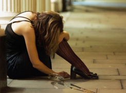 В Северном районе пьяная 22-летняя девушка на вечеринке украла сумку