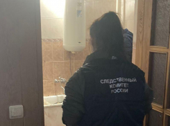 В убийстве и расчленении женщины в Нововоронеже подозревается ее сын
