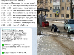 Коронавирус в Воронеже 22 февраля: +309 зараженных, 7 смертей и издевательская забота над пациентами 