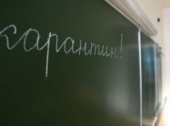 Воронежские школы закрываются на карантин по гриппу