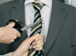 В правительстве Воронежской области выяснят, почему в управах города сокращают сотрудников