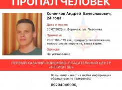 Подозреваемый в убийстве девушки пропал за несколько дней до жестокого преступления в Воронеже 