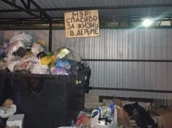 «Мэр! Спасибо за жизнь в дерьме»: воронежцы оставили обращение к Кстенину в неприятном месте