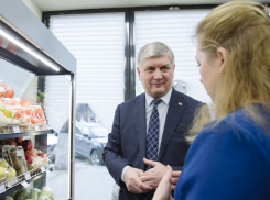 Воронежский губернатор назвал главную проблему органического земледелия