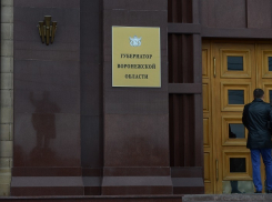 Чиновник без лица стал вице-премьером воронежского правительства 