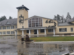 Бобры на связи: блогер рассказал о новом достижении цифровизации под Воронежем